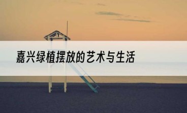 嘉兴绿植摆放的艺术与生活