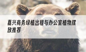嘉兴商务绿植出租与办公室植物摆放推荐