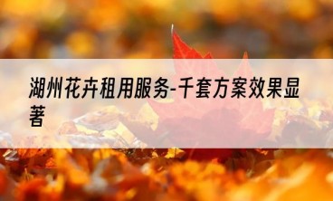 湖州花卉租用服务-千套方案效果显著