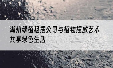湖州绿植租摆公司与植物摆放艺术共享绿色生活