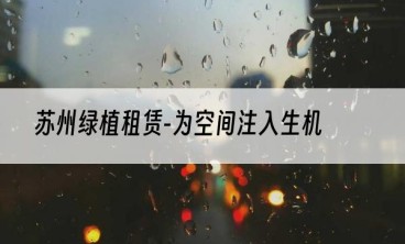 苏州绿植租赁-为空间注入生机