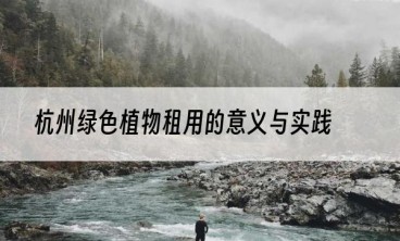 杭州绿色植物租用的意义与实践