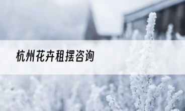 杭州花卉租摆咨询