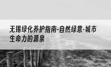 无锡绿化养护指南-自然绿意-城市生命力的源泉