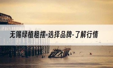 无锡绿植租摆-选择品牌-了解行情