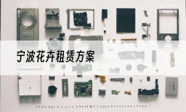 宁波花卉租赁方案