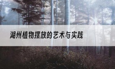 湖州植物摆放的艺术与实践