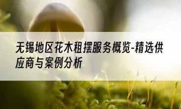 无锡地区花木租摆服务概览-精选供应商与案例分析