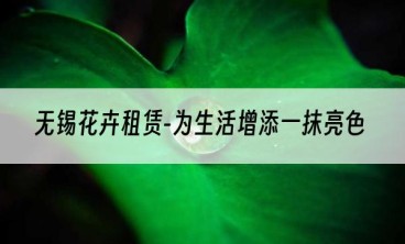 无锡花卉租赁-为生活增添一抹亮色