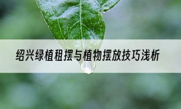 绍兴绿植租摆与植物摆放技巧浅析