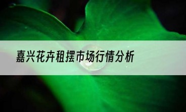 嘉兴花卉租摆市场行情分析