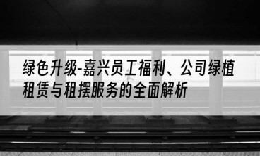 绿色升级-嘉兴员工福利、公司绿植租赁与租摆服务的全面解析