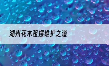 湖州花木租摆维护之道