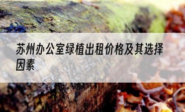 苏州办公室绿植出租价格及其选择因素