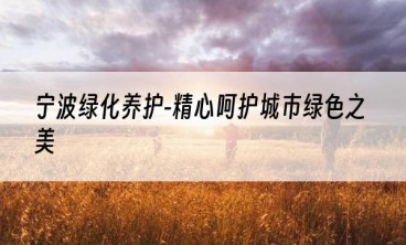 宁波绿化养护-精心呵护城市绿色之美