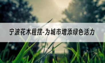 宁波花木租摆-为城市增添绿色活力