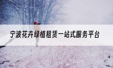 宁波花卉绿植租赁一站式服务平台