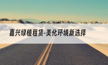 嘉兴绿植租赁-美化环境新选择