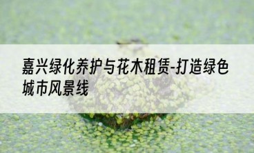 嘉兴绿化养护与花木租赁-打造绿色城市风景线