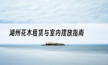 湖州花木租赁与室内摆放指南