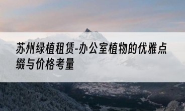 苏州绿植租赁-办公室植物的优雅点缀与价格考量