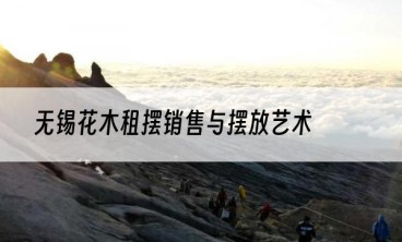 无锡花木租摆销售与摆放艺术