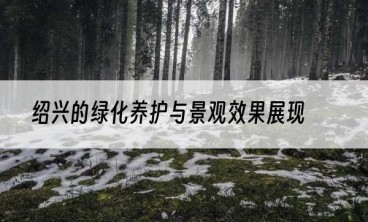 绍兴的绿化养护与景观效果展现