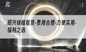 绍兴绿植租赁-费用合理-方便实用-福利之选