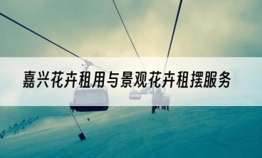 嘉兴花卉租用与景观花卉租摆服务