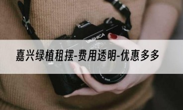 嘉兴绿植租摆-费用透明-优惠多多