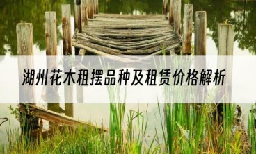 湖州花木租摆品种及租赁价格解析