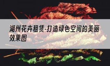 湖州花卉租赁-打造绿色空间的美丽效果图