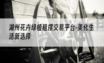 湖州花卉绿植租摆交易平台-美化生活新选择