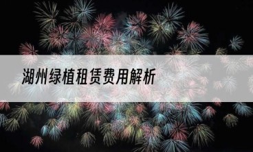 湖州绿植租赁费用解析