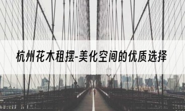 杭州花木租摆-美化空间的优质选择