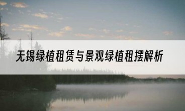 无锡绿植租赁与景观绿植租摆解析