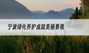 宁波绿化养护成就美丽景观