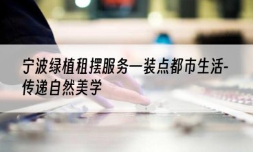 宁波绿植租摆服务—装点都市生活-传递自然美学