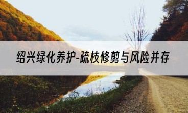 绍兴绿化养护-疏枝修剪与风险并存