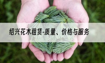 绍兴花木租赁-质量、价格与服务