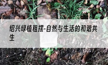 绍兴绿植租摆-自然与生活的和谐共生