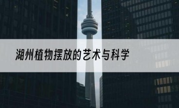 湖州植物摆放的艺术与科学