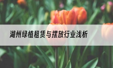 湖州绿植租赁与摆放行业浅析