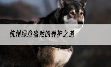 杭州绿意盎然的养护之道