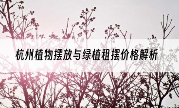 杭州植物摆放与绿植租摆价格解析