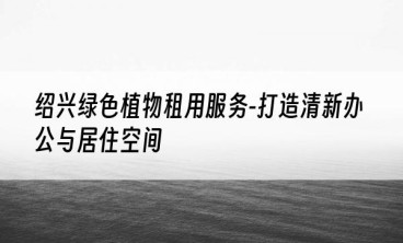 绍兴绿色植物租用服务-打造清新办公与居住空间