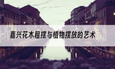 嘉兴花木租摆与植物摆放的艺术