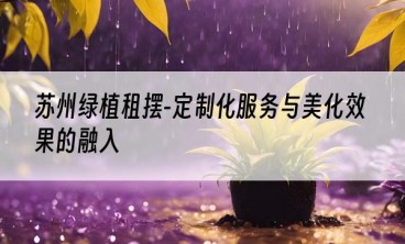 苏州绿植租摆-定制化服务与美化效果的融入