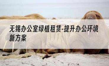 无锡办公室绿植租赁-提升办公环境新方案