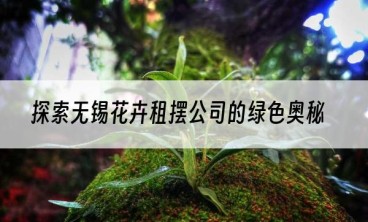 探索无锡花卉租摆公司的绿色奥秘